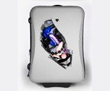 Insane Suitcase Stickers