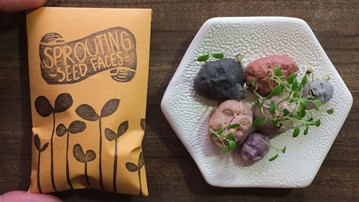 Sprouting Seed Faces - Plantable Paper & Edible Sprouts Sprouting Seed Faces - Plantable Paper & Edible Sprouts