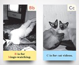 Escapist ABCs Alphabet Flashcards