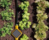 Edyn Smart Garden System