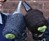 Skuuzi Beer Glove Skuuzi Beer Glove
