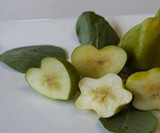 Star-Shaped Fruit & Veggie Grow Molds