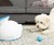iFetch Automatic Ball Launcher iFetch Automatic Ball Launcher