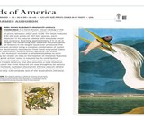 Remarkable Books - Beautiful & Historic Works