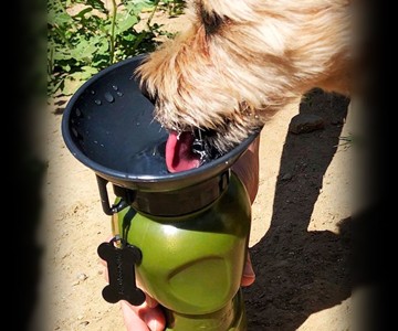 AutoDogMug - Portable, Leak-Free Dog Water Bowl AutoDogMug - Portable, Leak-Free Dog Water Bowl