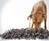 Wooly Snuffle Foraging & Feeding Mat for Dogs Wooly Snuffle Foraging & Feeding Mat for Dogs