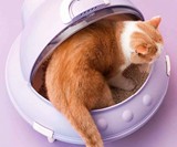 UFO Cat Litter Box