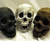 Skull Gas Fireplace Logs