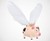 Flying Pig with Flapping Wings Flying Pig with Flapping Wings