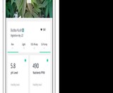 Leaf Plug N' Plant Cannabis Grow System