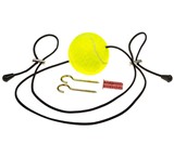 Boxing Speed Ball