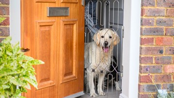 DOG-G8 - Retractable Front Door Dog Safety Gate DOG-G8 - Retractable Front Door Dog Safety Gate