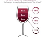 The Wand - Hangover-Preventing Wine Filter