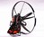 SCOUT Carbon Paramotor