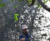 Catch-A-Lure Fly Retriever