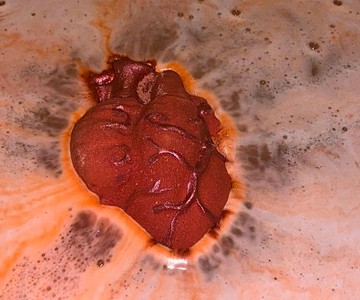 Bleeding Heart LED Bath Bomb