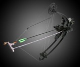 Delta Bow with Draw Holder & Laser Sight