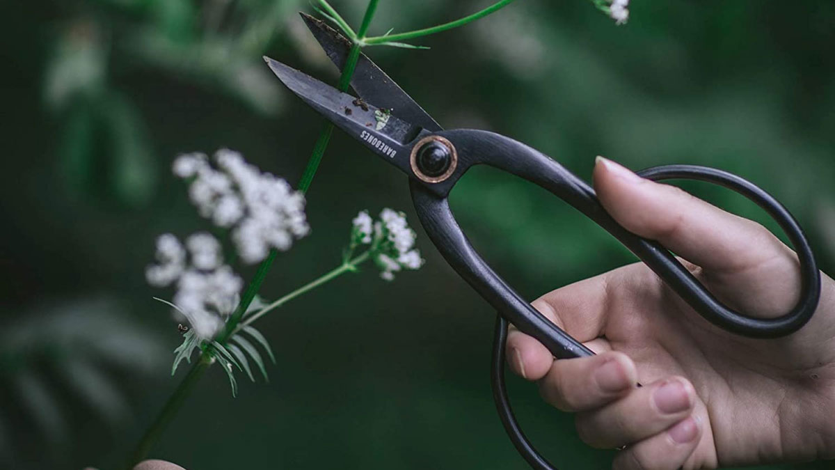 Barebones Artisan Pruning Shears Barebones Artisan Pruning Shears