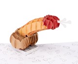 Dirty Pop Adult Pop Up Greeting Cards (NSFW)