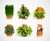 terraplanter Inside-Out Hydroponic Planter