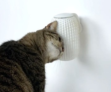 Groomatic Automatic Cat Grooming Brush