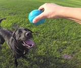 Babble Ball