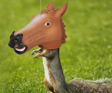 Horse Head Squirrel Feeder Horse Head Squirrel Feeder