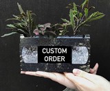Recycled VHS Tape Planters