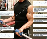 Fat Gripz Arm Builders