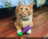 The Emojibator (NSFW)