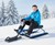 Steerable Snow Sled