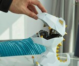 T-Rex Candy Dish & Valet Tray