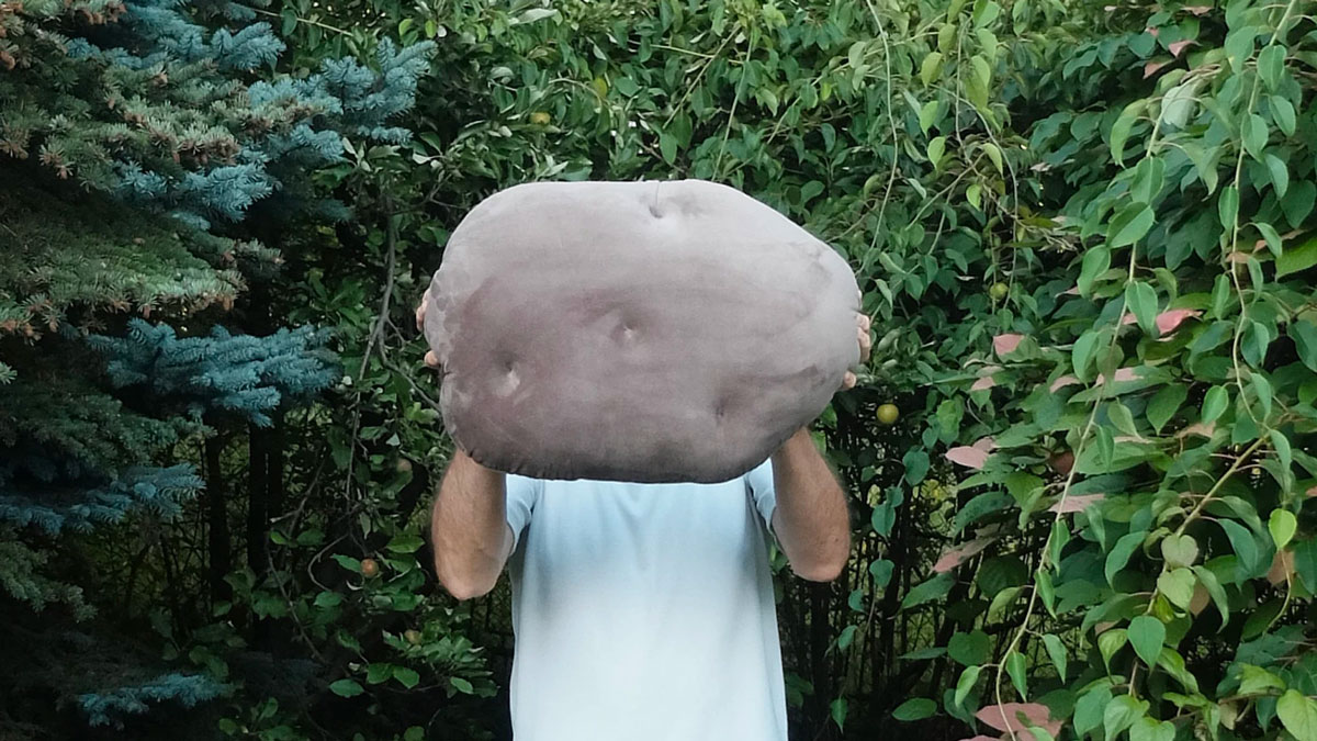 Velvet Potato Pillow
