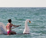 Stand Up Floats Stand Up Paddleboard Inflatables