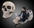 The Skull Chair The Skull Chair