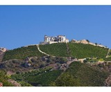 340 N Kanan Dume Rd Malibu, CA-6092