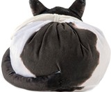 Cat Toiletry Bag & Organizer