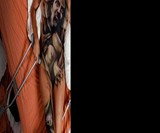 Roustan Body Paint Photo Book (NSFW)