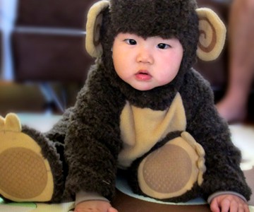 Infant Monkey Costume