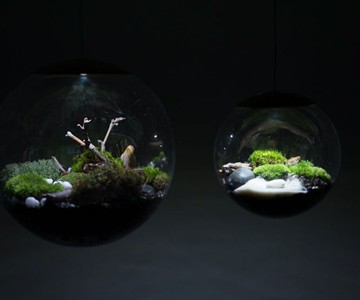 Globe Terrarium Lamps Globe Terrarium Lamps