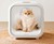 Drybo Plus Automatic Pet Dryer