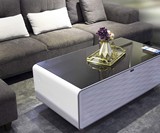 Refrigerator Coffee Table