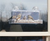 One-Way-Mirror Birdfeeder