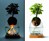 Torch Plant Light Botanical Candle