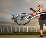 Bird of Prey Bicycle