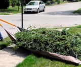 The ANT Tarp Dragging Yard Tool