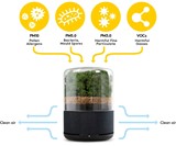 briiv Air Filter - Plant-Based Air Purifier