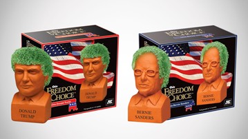 Chia Politicians Chia Politicians