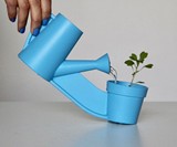 Devoted One Planter & Pot
