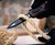 Tekto Gear Amber Automatic Knife